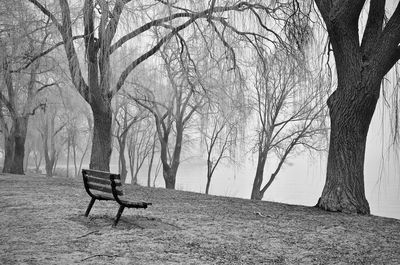 Empty chairs on bare trees against sky
