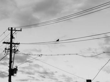 Low angle view of birds perching on power cables against sky