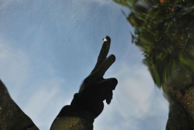 Close-up of hand by tree against sky