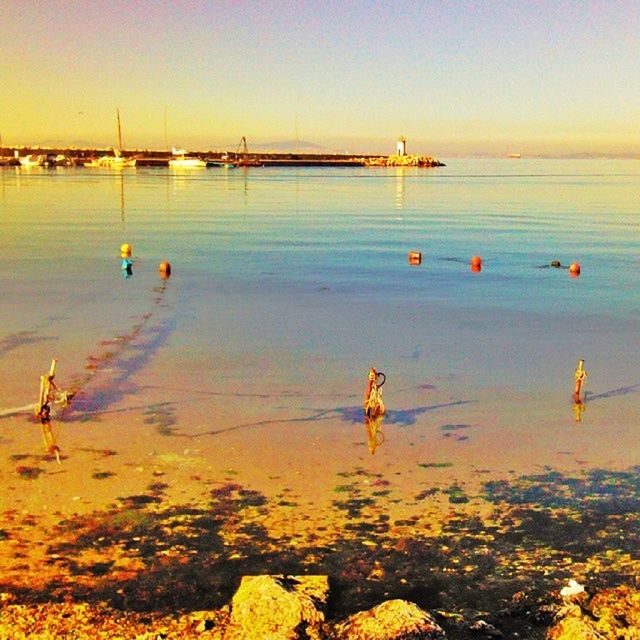 water, sea, sunset, scenics, beauty in nature, tranquil scene, nature, tranquility, animal themes, reflection, orange color, bird, swimming, clear sky, idyllic, beach, sky, waterfront, outdoors, yellow