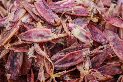 Full frame shot of dried squid for sale in market