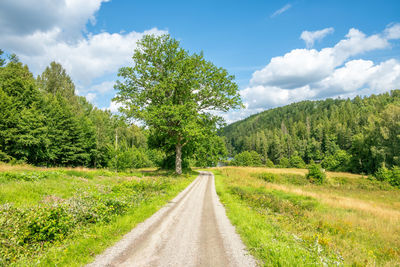 Dalsland's canal at buterud