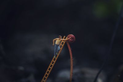 Close-up of small chain on field