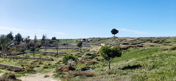 Scenic view of land against clear sky