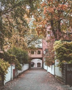 Footpath amidst trees in park during autumn