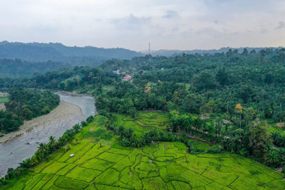 Scenic view of agricultural field at sumatera