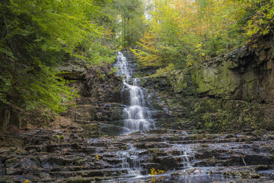 Scenic view of waterfall in forest