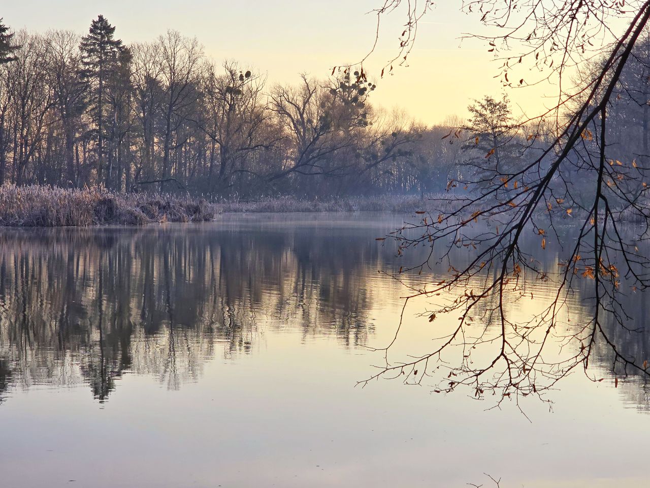 reflection, water, nature, tree, lake, morning, tranquility, beauty in nature, scenics - nature, sky, plant, winter, tranquil scene, no people, dawn, branch, landscape, environment, mist, autumn, non-urban scene, idyllic, reflection lake, forest, fog, outdoors, travel destinations, sunrise, sun, land, bare tree, tourism, cloud, standing water, twilight, beach