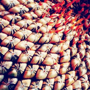 Full frame shot of market stall