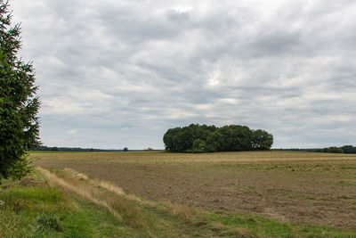 Trees on field against cloudy sky