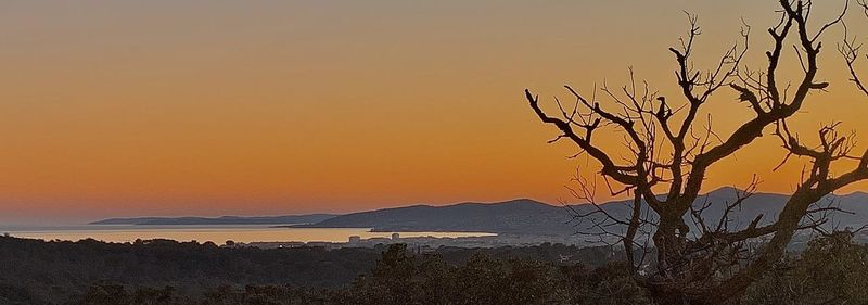 Silhouette bare tree by sea against sky during sunset