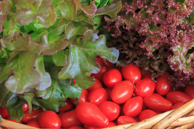 Close-up of vegetables in basket