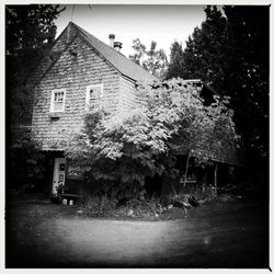 Building with trees in background