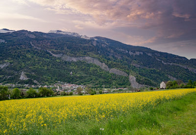 Scenic view of field against cloudy sky