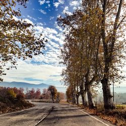 Road amidst trees against sky