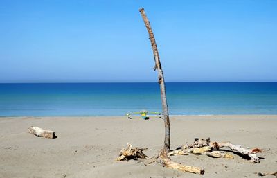 Driftwood on beach against clear sky