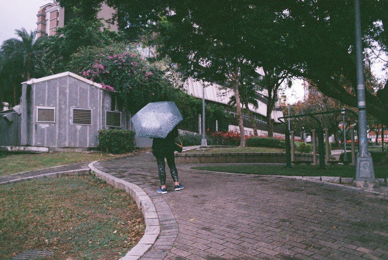 REAR VIEW OF WOMAN WALKING ON FOOTPATH DURING RAINY SEASON