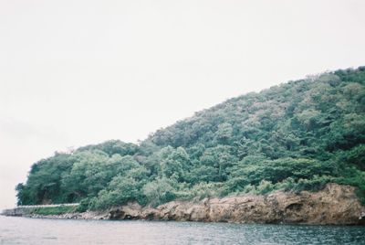 Scenic view of tree against sky