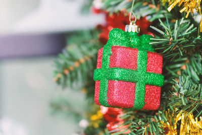 Close-up of christmas tree