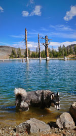 Scenic view of lake against sky