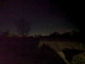 Silhouette trees on field against sky at night