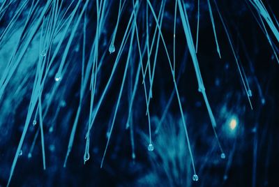 Close-up of wet blue illuminated lights at night