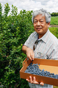 Portrait of man holding box with blueberries at farm