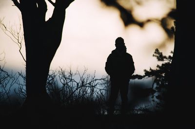Silhouette of person standing by tree