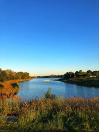 Scenic view of lake against clear blue sky