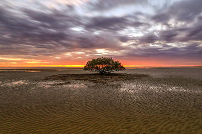 Scenic view of beach against sky during sunset