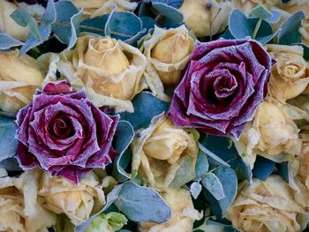 High angle view of rose bouquet