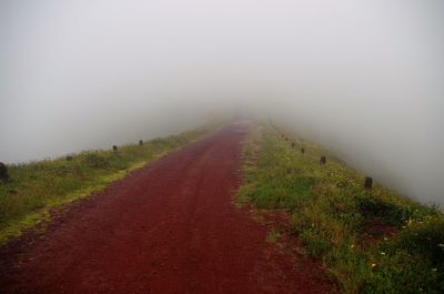 Road amidst green landscape in foggy weather