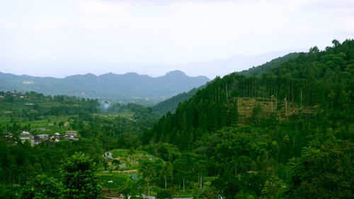 Scenic view of trees and mountains against sky