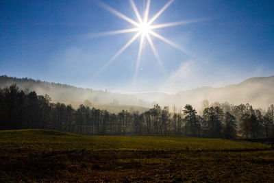 Scenic view of field against bright sun