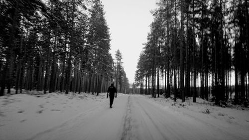Man walking on snow covered trees
