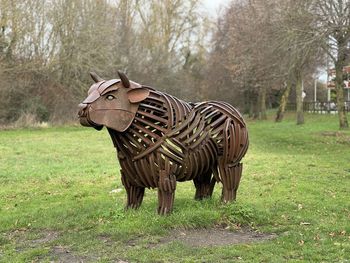 Zebra standing on field