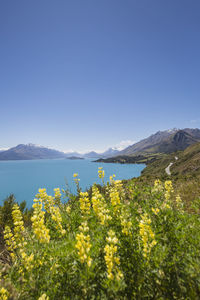 Scenic view of mountains against clear blue sky