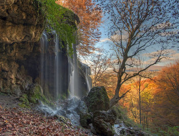 Scenic view of waterfall in forest