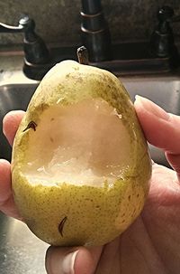 Close-up of cropped hand holding ice cream