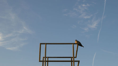 Low angle view of bird perching on metallic structure against blue sky