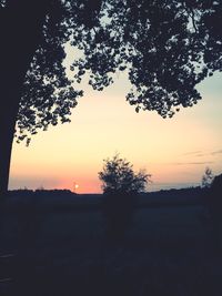 Silhouette trees on field against sky during sunset