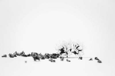 Snow on landscape during winter