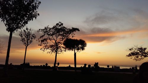 Silhouette trees on beach against sky during sunset