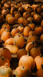 Full frame shot of pumpkins for sale at market