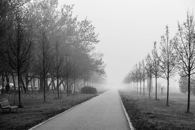 Empty road amidst trees against sky