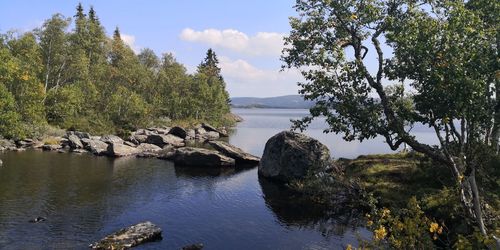 Scenic view of rocks by trees against sky