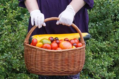 Man holding fruits in basket