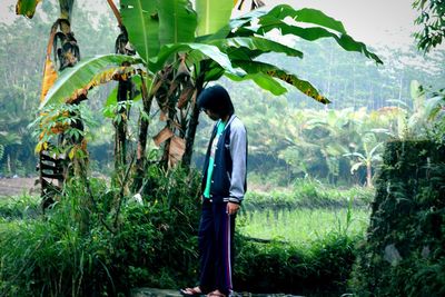 Rear view of woman standing by plants