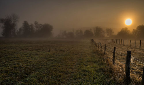 Scenic view of field against sky during foggy weather