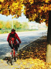 Rear view of woman riding bicycle by tree during autumn